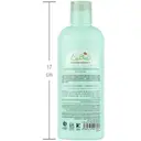 شامپو موی چرب گیاهان ژاپنی و سیستئین