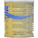 لیدی میل