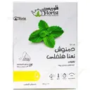 دمنوش نعناع فلفلی کد 101 چای کیسه ای هرمی
