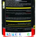 مس 4500 گرم اف بی آر