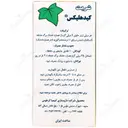 کیدهلیکس