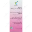 گارد فیری