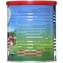 کیدویت پسرانه 300 گرمی