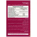 پایلوشات