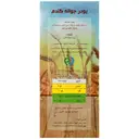 پودر جوانه گندم 500 گرم