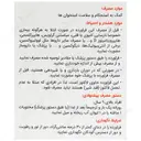 بونی مگز پلاس