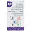 کیدنی ناب