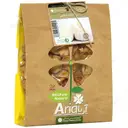 سیر خشک اسلایس