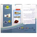 بالشت بین زانویی