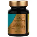 برین لید سول
