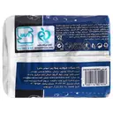 نوار بهداشتی بالدار پرومکس نازک شبانه