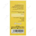 فلمون