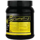 ال گلوتامین دانا 300 گرم