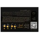 دمنوش افزایش ایمنی حافظ جان