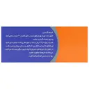 مستر ویت 100 عدد